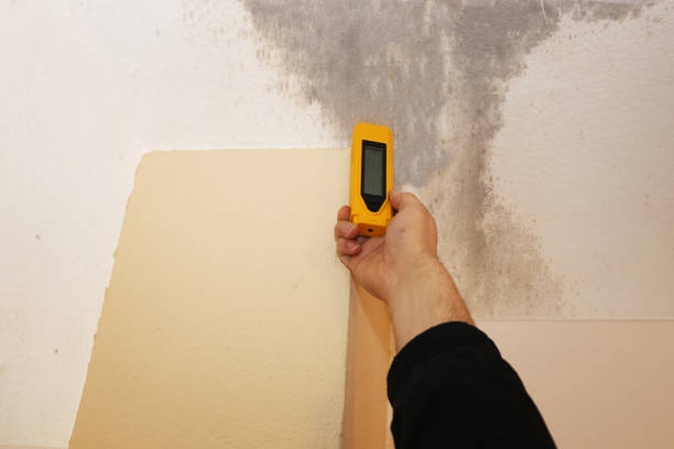 Best Commercial Mold Inspection  in Jonestown, PA